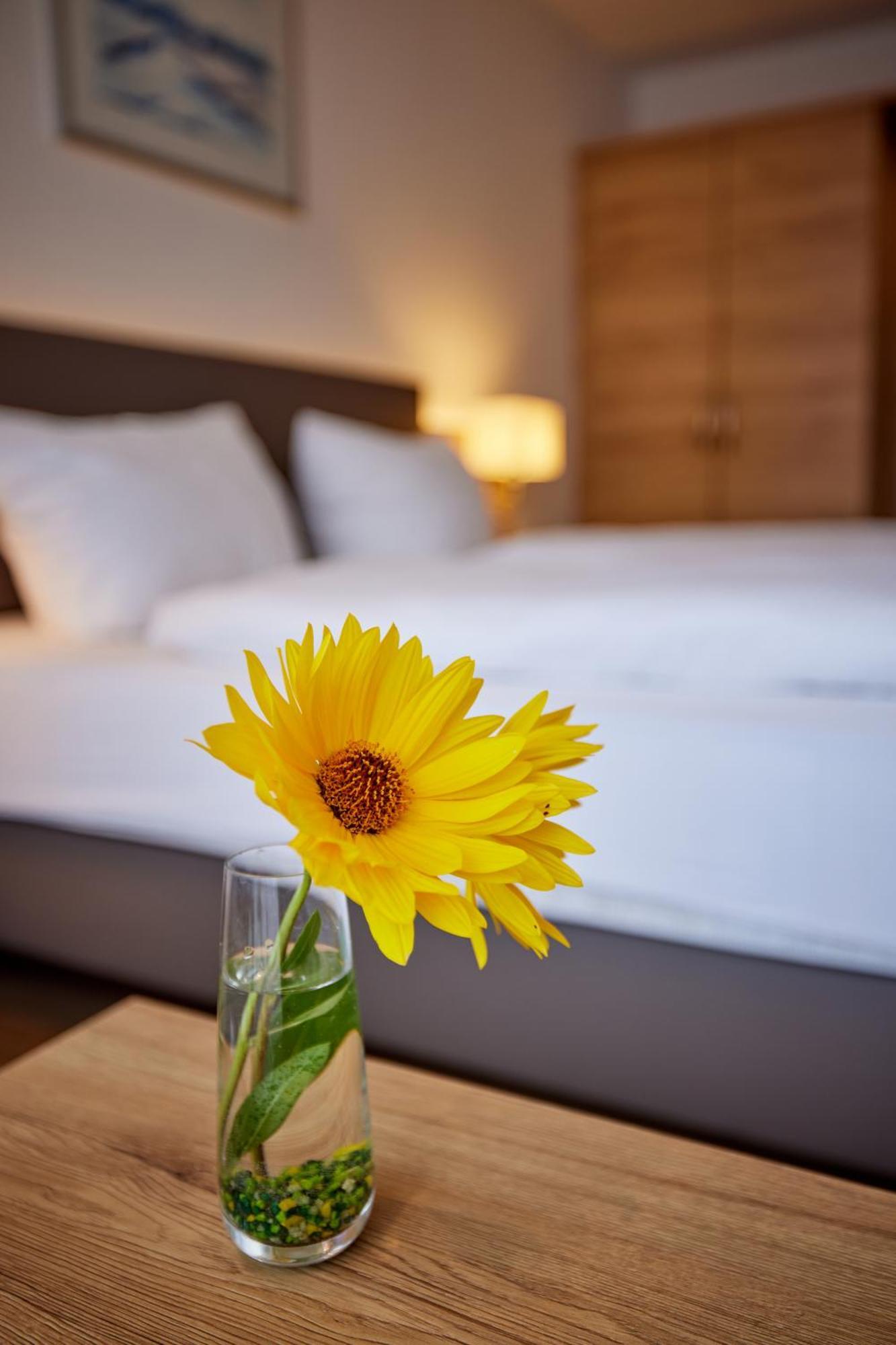 Hotel Restaurant Stegemann Saerbeck Экстерьер фото